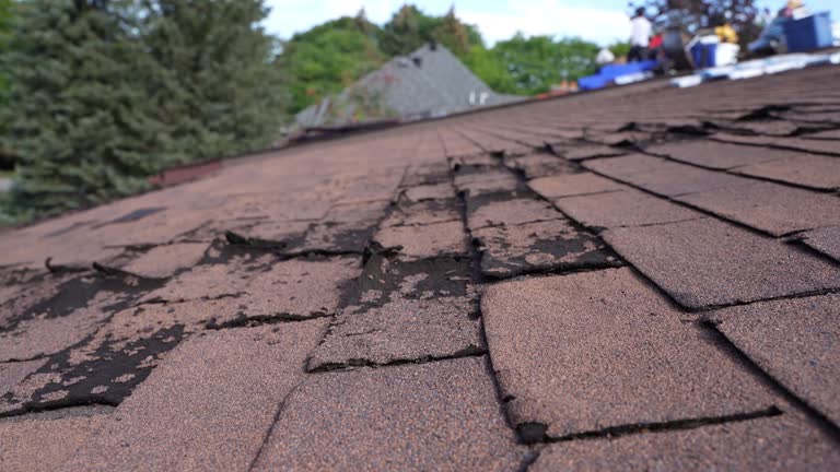 Best Roof Moss and Algae Removal  in Blue Ash, OH